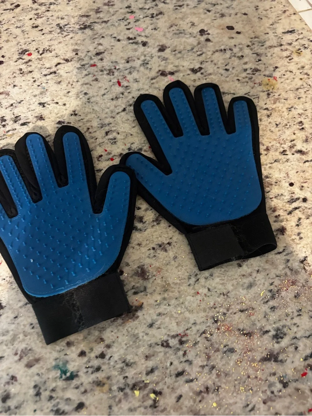 Blue Grooming Glove for pets